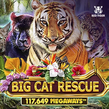 Redtiger : Big Cat Rescue Megaways - HIGHBET33