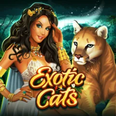 Exotic Cats - HIGHBET33