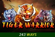 Spadegaming : Tiger Warrior - HIGHBET33