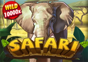 Safari - HIGHBET33